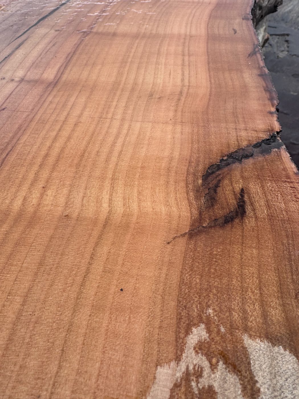 Orchard cherry slab
