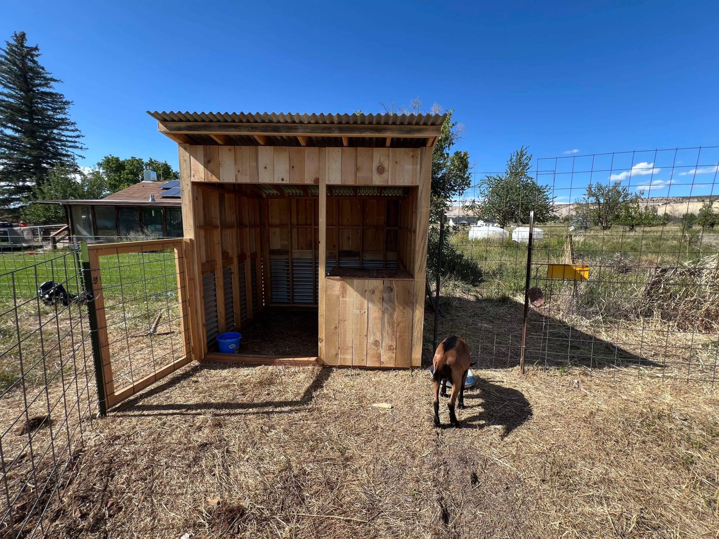 Rough-sawn animal shelter