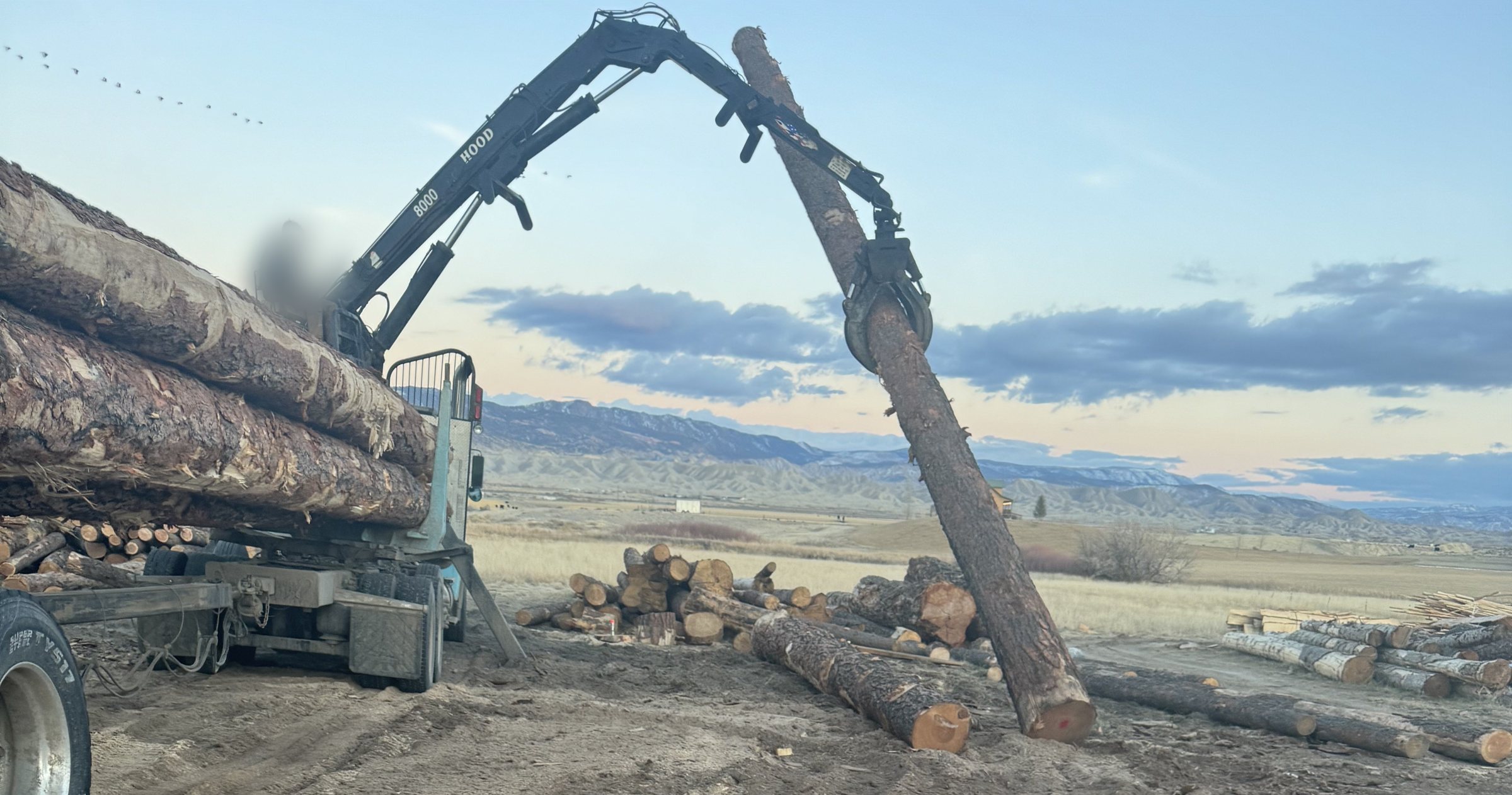 Log loader unloading logs at the JAMCo yard
